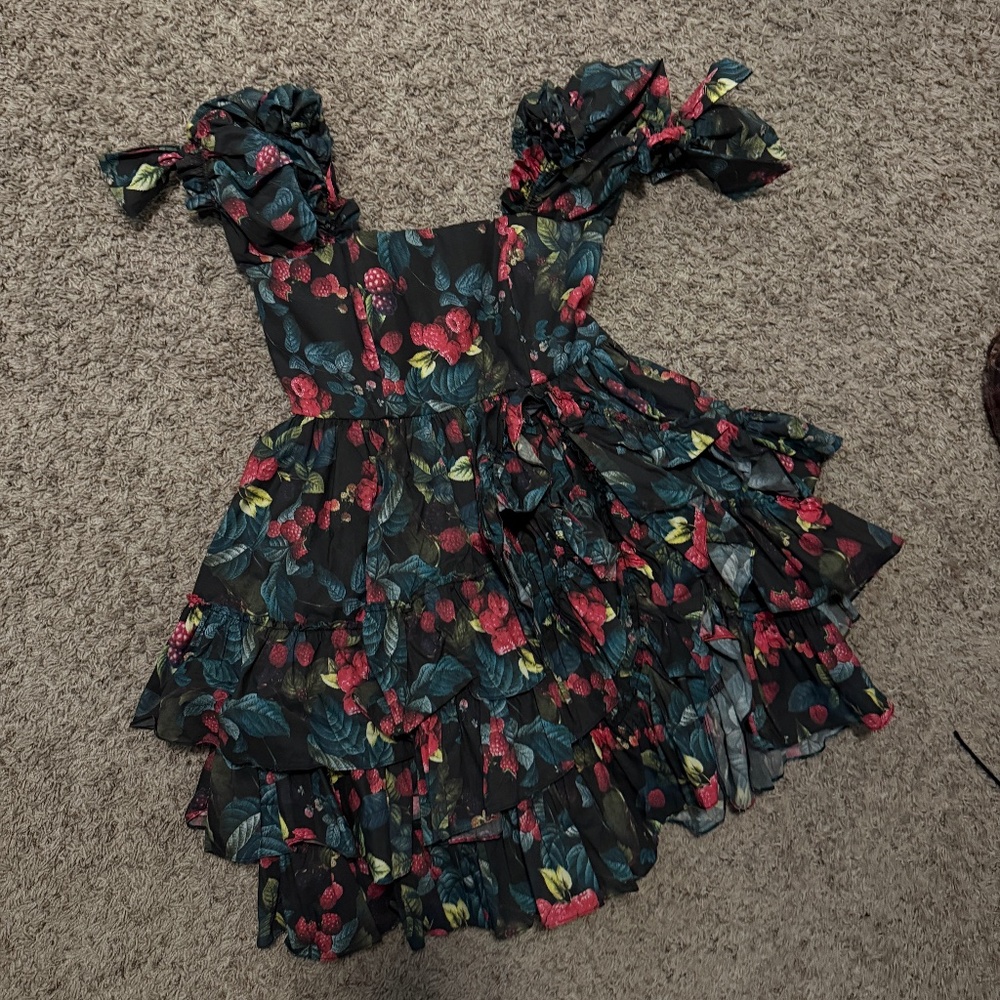 Fanciful Doll Raspberry Mini Liaisons Dress - Picture 2 of 5